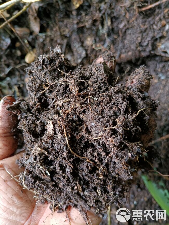 种植袋/植树袋/美植袋 腐植土，纯野生的，山上的，是经过常年的积累发酵而成。是养花最