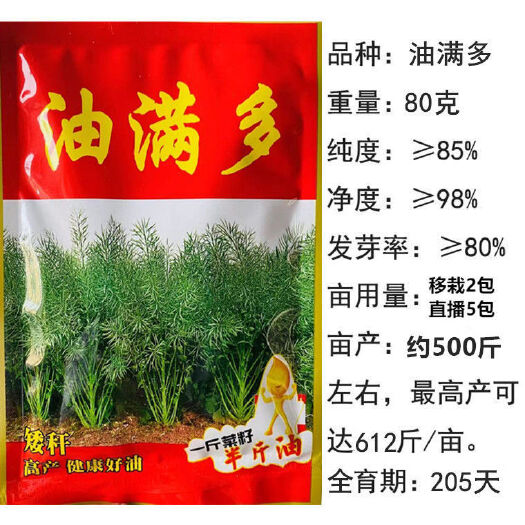 沭阳县油满多油菜种子审定品种高产杂交优质品种高出油率