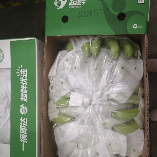 上海香蕉  菲律宾青蕉A6.A789.B456.B789