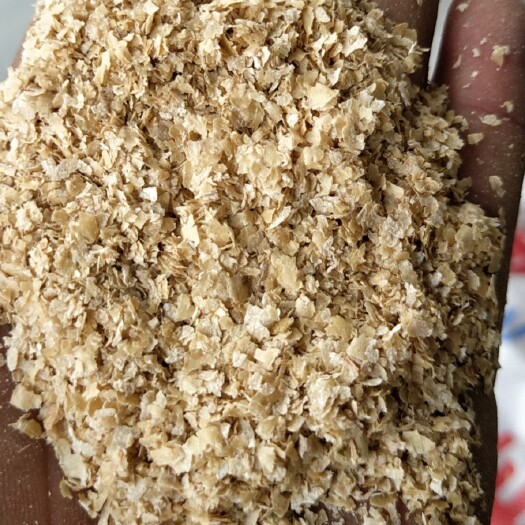聊城麦麸 金沙河五得利益海中粮麸皮