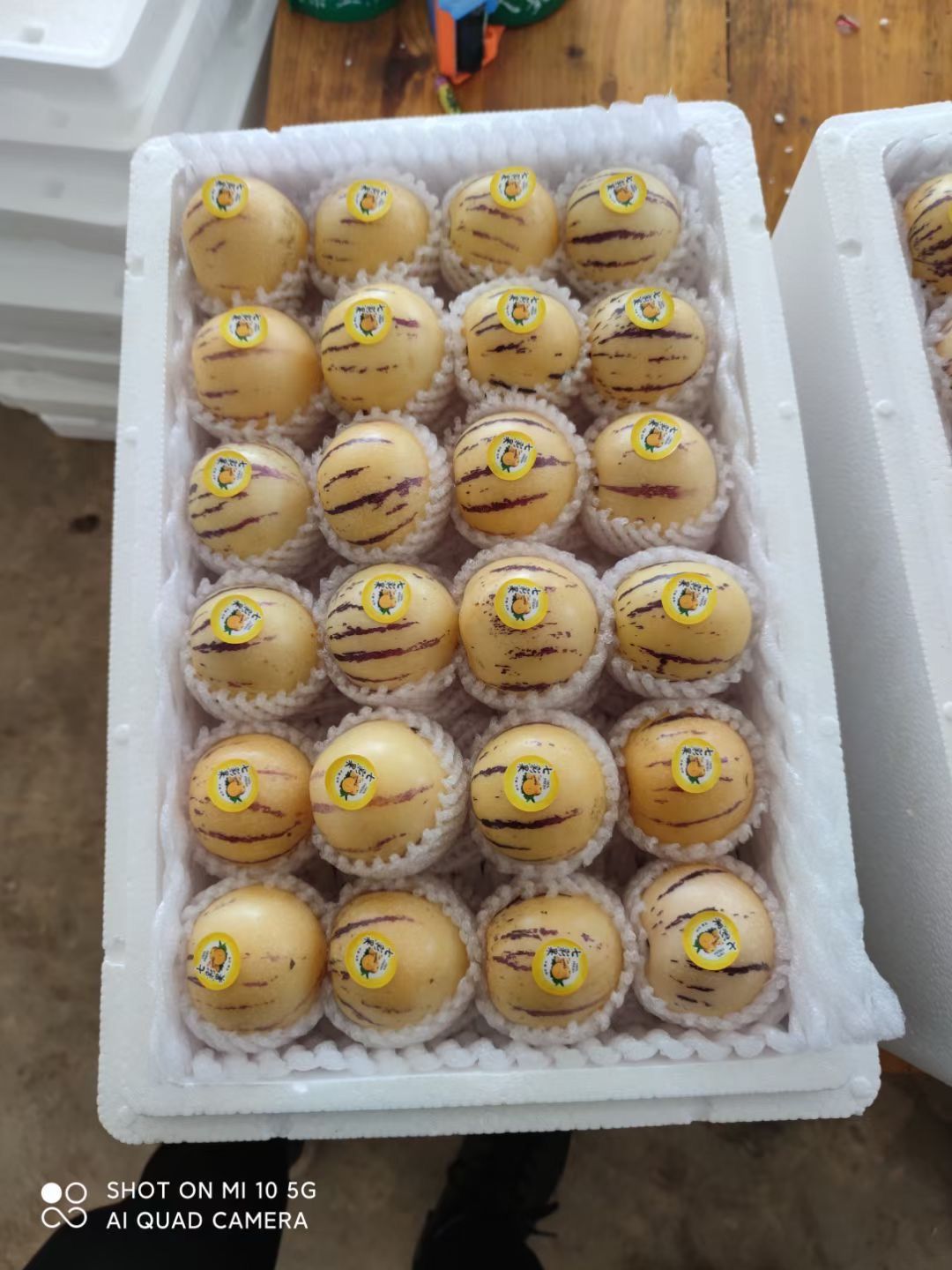 石林人参果圆果基地直发，一件代发。坏果包赔！！！