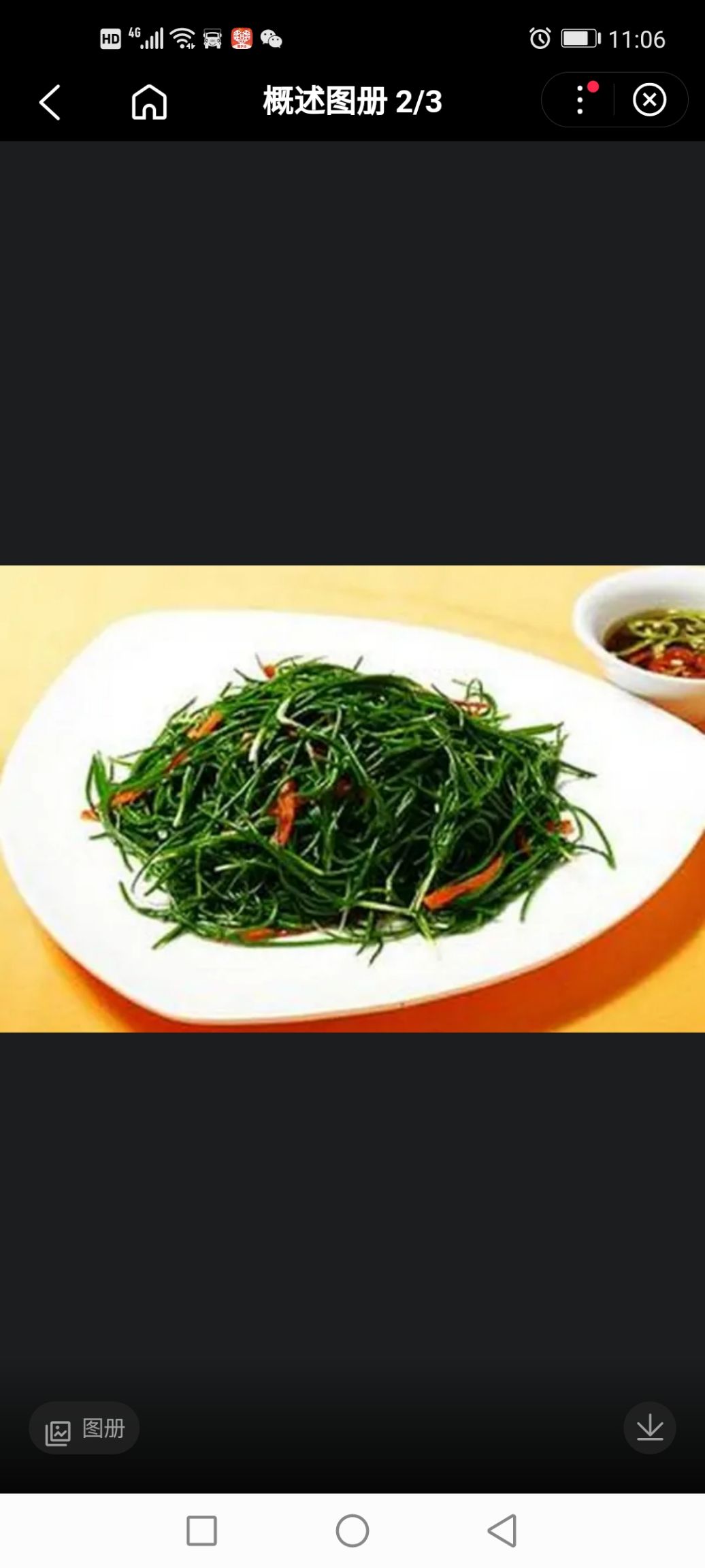 民勤沙葱色泽深绿质地脆嫩性真品沙葱籽沙葱一件代发