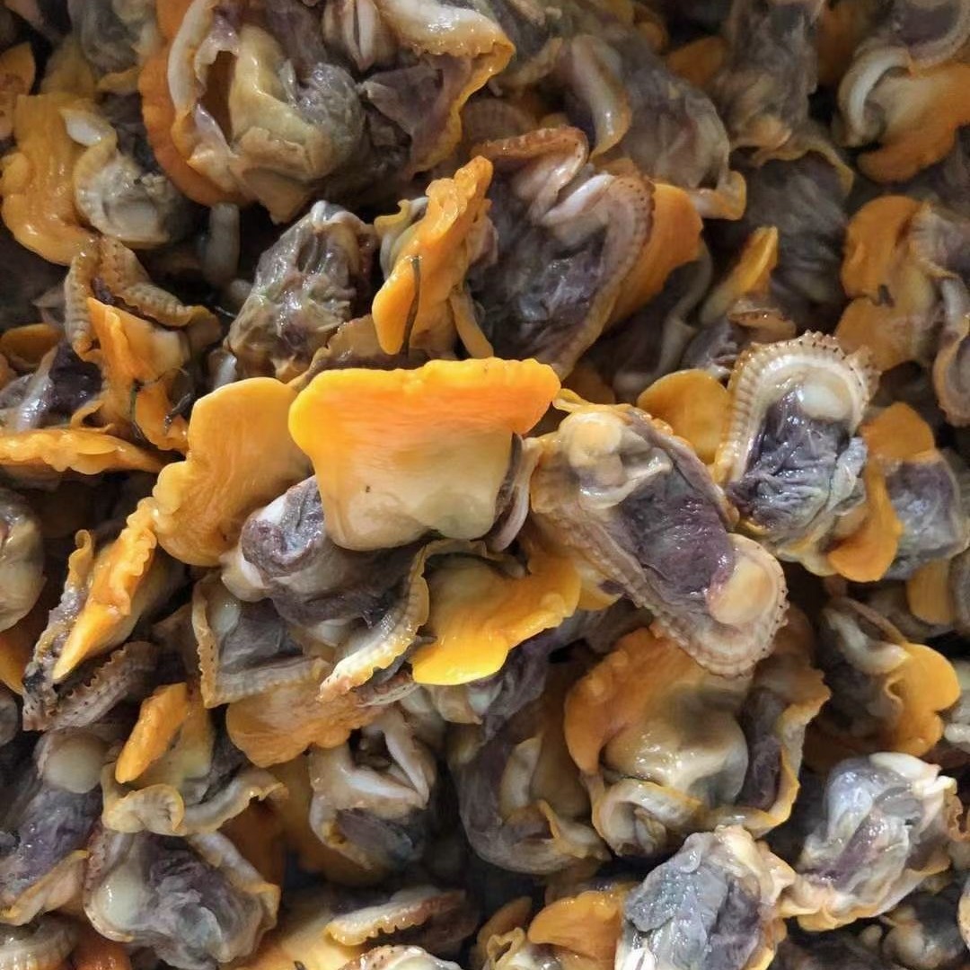 新鲜速冻干冰毛蛤肉血蛤肉无沙毛蚬子肉雪蛤肉毛蚶肉赤贝肉赤蛤