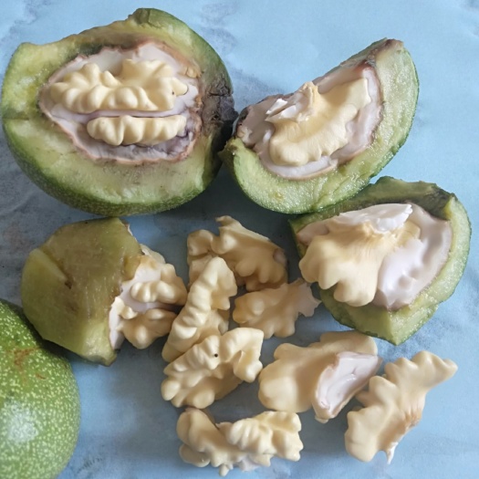 赞皇县 产地批发 青皮核桃 鲜核桃 批发厂家