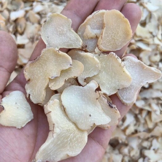 白及  云南紫花三岔白芨