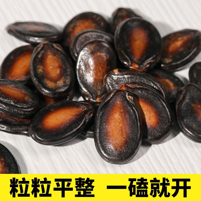 100包话梅西瓜子小包装小袋一整箱黑瓜籽批发坚果炒货零食小吃