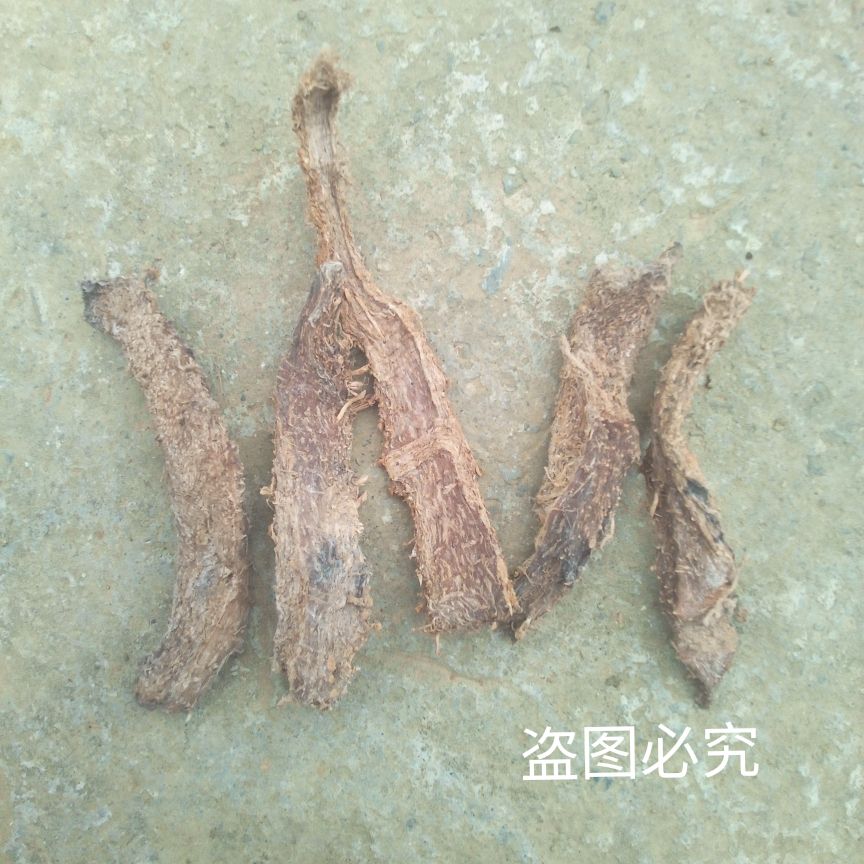 芭蕉叶 芭蕉根 芭蕉头 芭蕉晒干货包邮