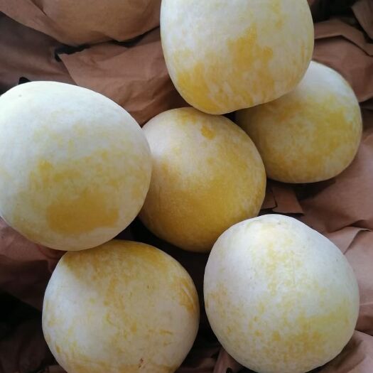 乐昌市黄金奈李