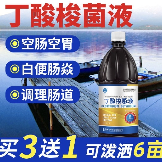 博罗县水质调节剂 丁酸梭菌液水产养殖鱼龙虾蟹南美白对虾调节肠道拖便白便空肠空胃