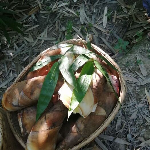 云南甜竹笋，去根精品货！去根精品货到手不用削，可存7天！