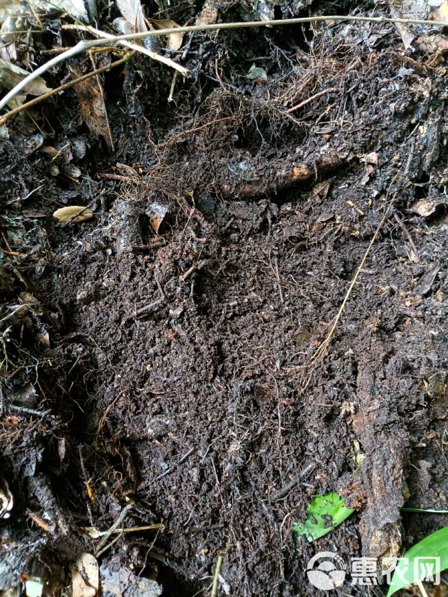 种植袋/植树袋/美植袋 腐植土，纯野生的，山上的，是经过常年的积累发酵而成。是养花最