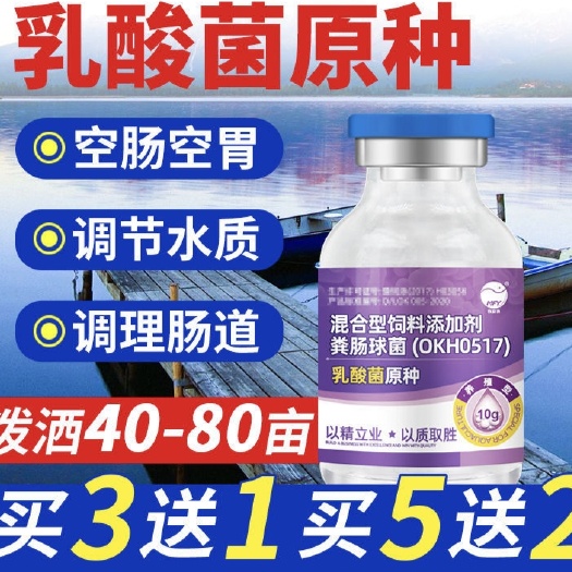 博罗县水质调节剂 乳酸菌原种水产养殖鱼塘虾蟹对虾调节肠道降ph值亚盐氨氮调水菌