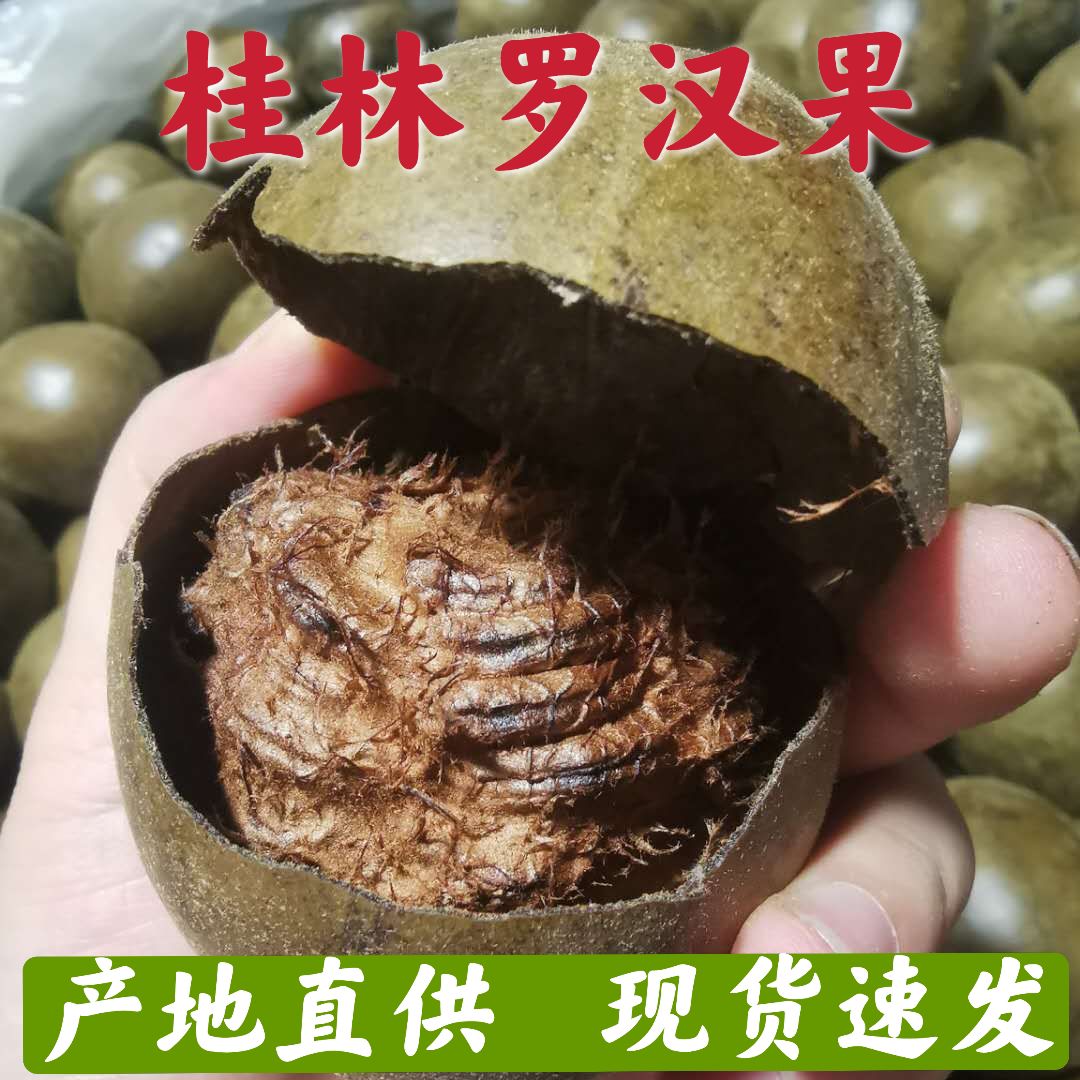 罗汉果仁  广西桂林罗汉果批发 中药材 花草茶原料 烘烤大果罗汉果干果