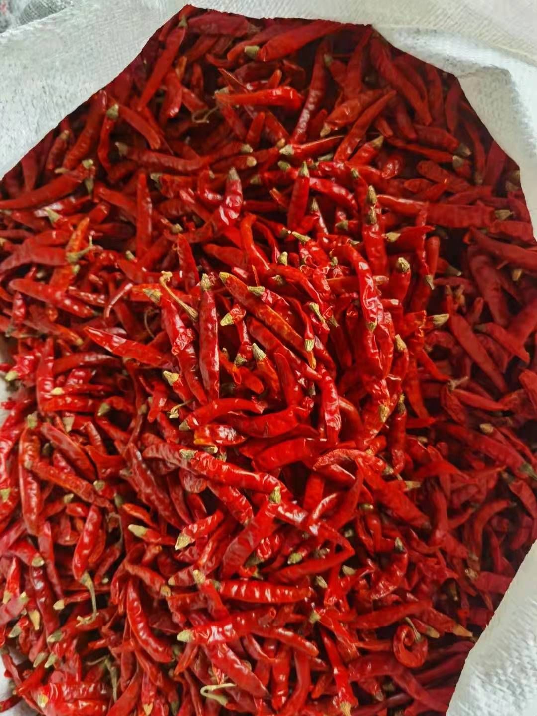 印度干辣椒  印度魔鬼椒干辣椒特辣特香超辣正品态红魔鬼辣椒王