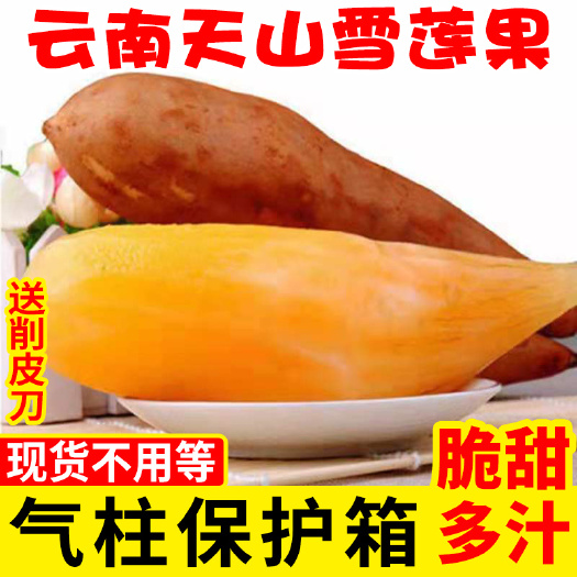 雪莲果现货25年5月20日正式上巿非转基因批发一件代发