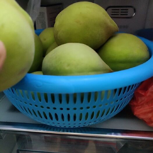 和平县鹰嘴蜜桃 鹰嘴桃