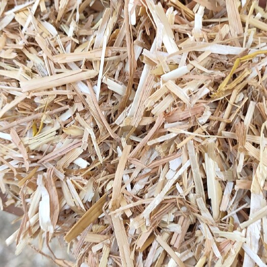 正阳县小麦秸秆 2024精品柔丝麦秸原草。