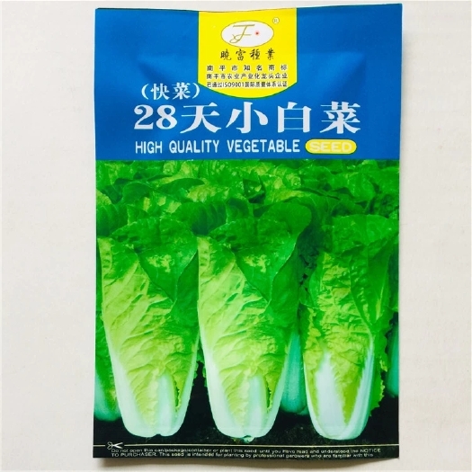 鄱阳县28天小白菜，快菜种子，晓富