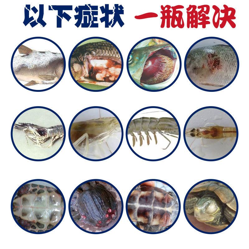 水质调节剂 硫醚沙星水霉清白毛病水霉病腐皮烂鳃烂尾鱼水产养