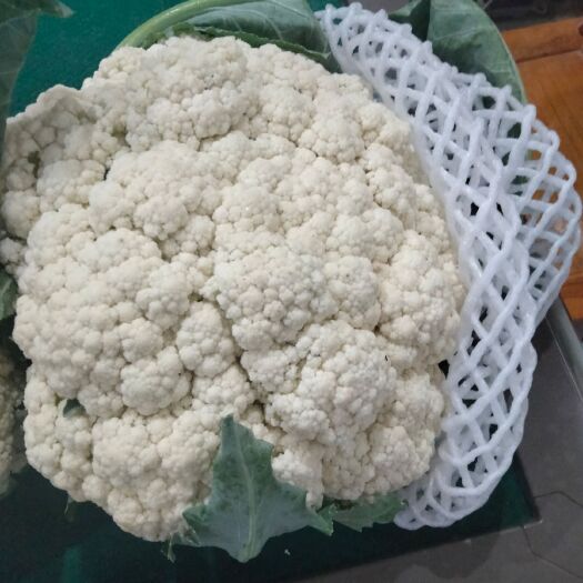 通许县白花菜花  质量很好