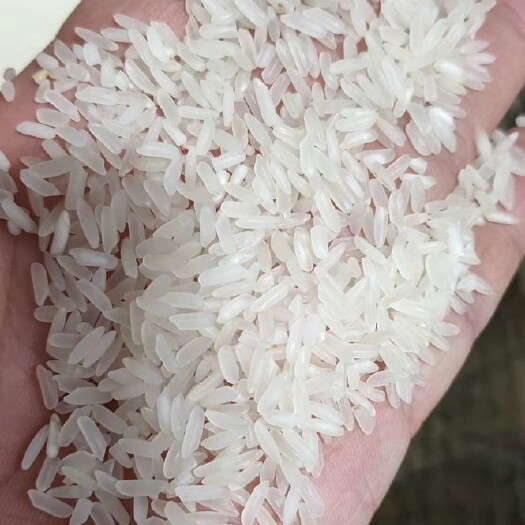 黄花粘  23年黄花沾稻谷，稻谷漂亮，米白，重金属不超