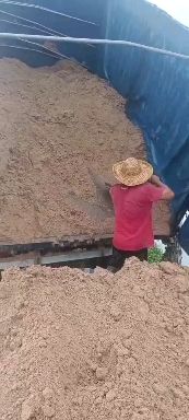 广东啤酒糟幼糟大量供应，营养好成本低，养殖好饲料！