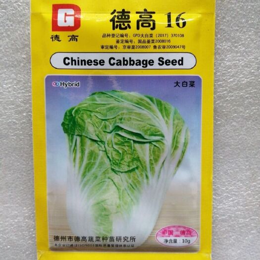 原包装德高牌德高16大白菜种子耐热耐湿净含量10克/包