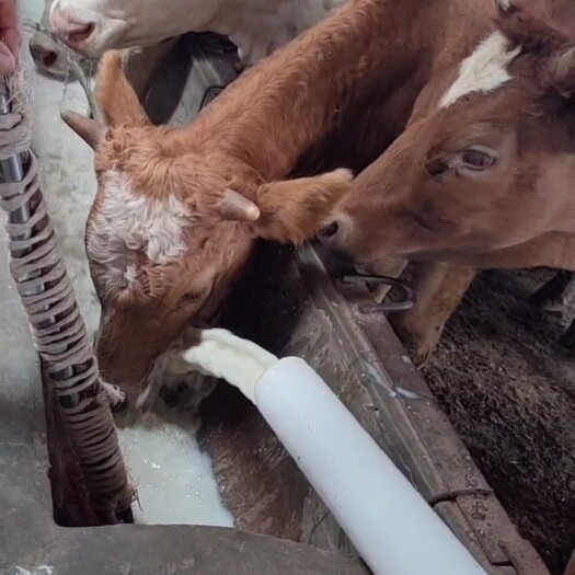 嘉祥县 给朋友们说一下 豆腐渣 下界为牛有好处