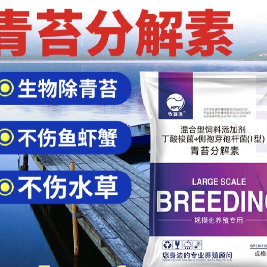 博罗县水质调节剂 青苔克星生物青苔净水产养殖鱼塘虾蟹塘除青苔去除剂杀青苔分解素