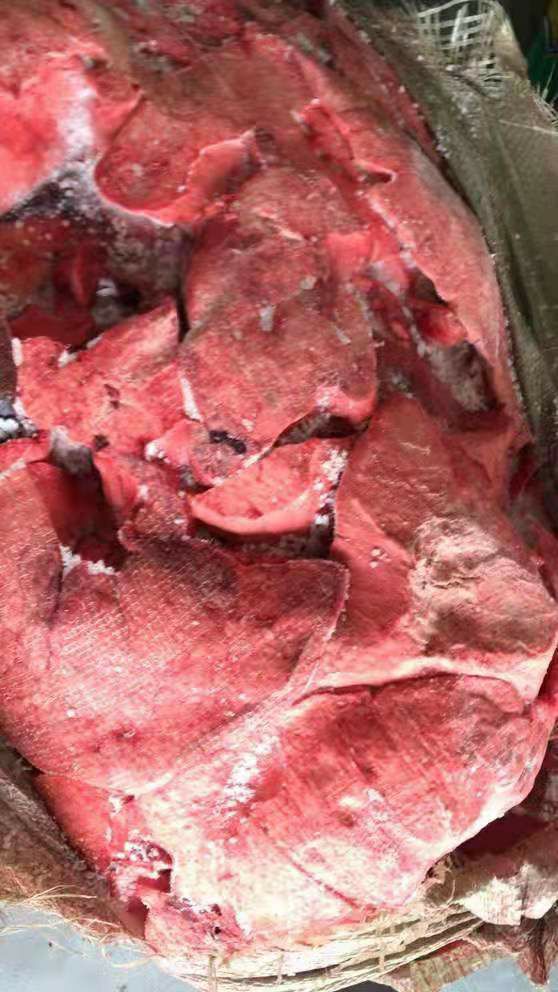  饲料猪肺  货源稳定价格美丽