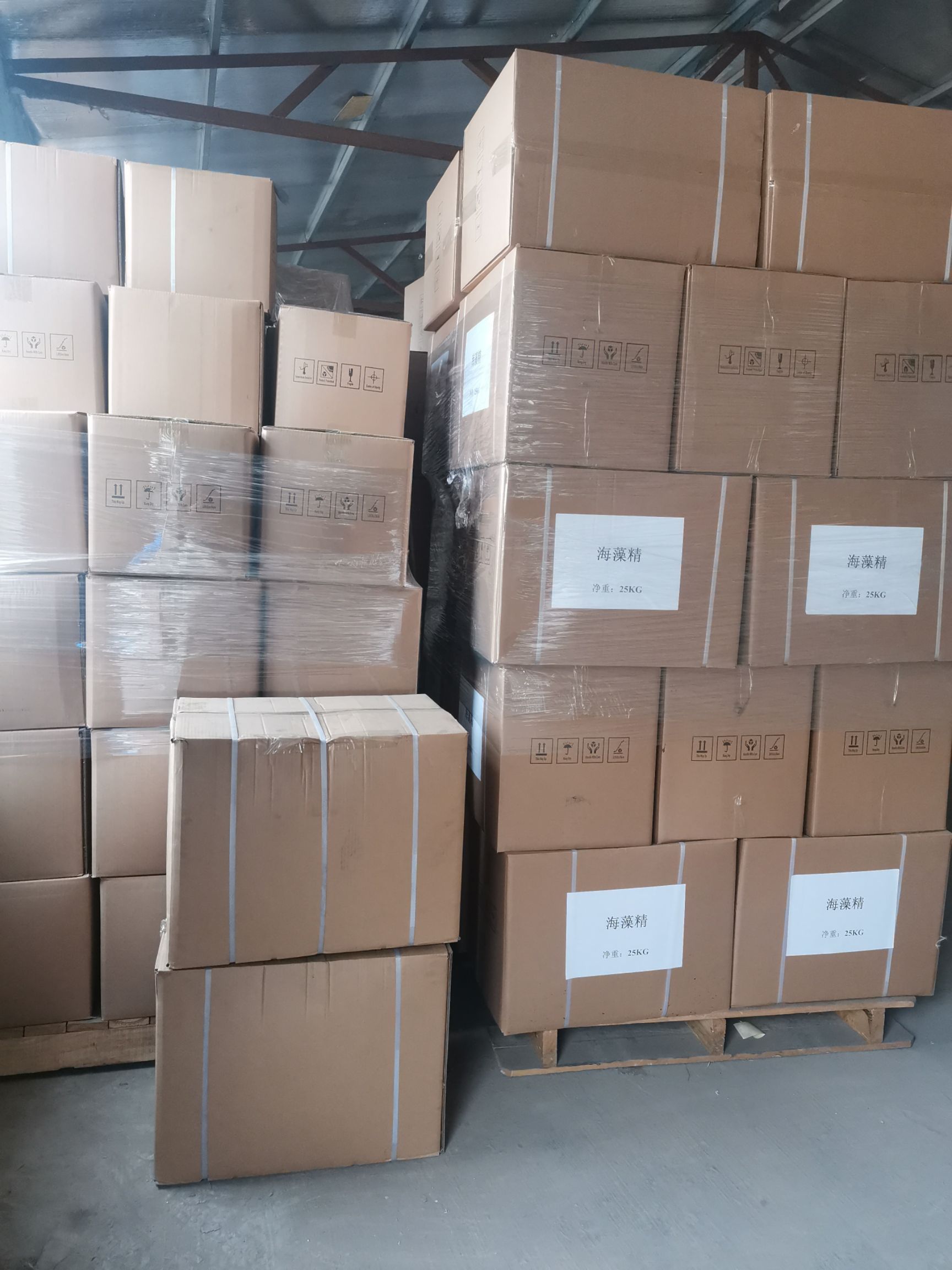 生根剂 海藻精 马尾藻泡叶藻 生根抗逆增产提地温 海藻肥