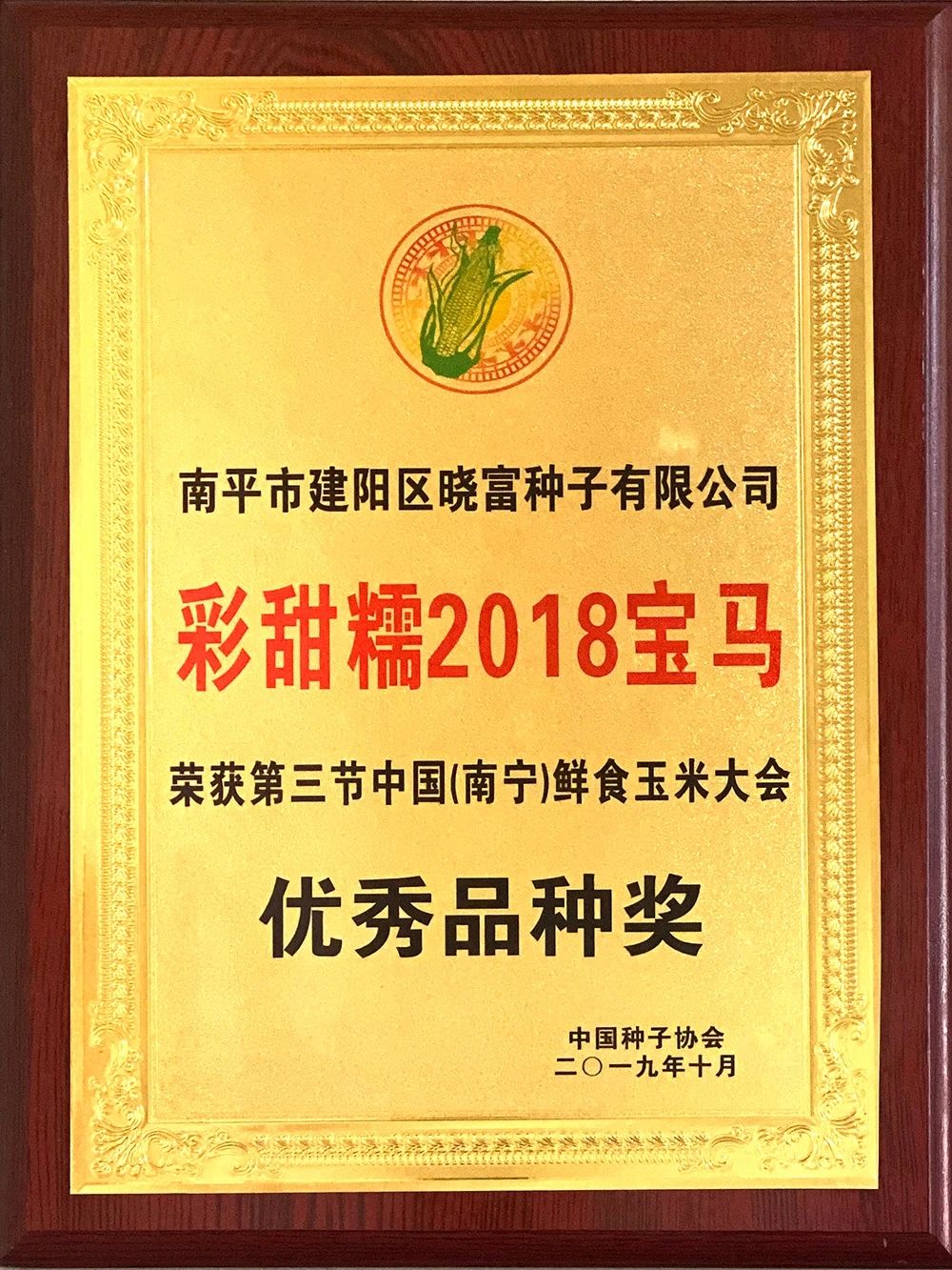 宝马937、钱多多9号彩甜糯玉米种子，产量高口感好，品质好