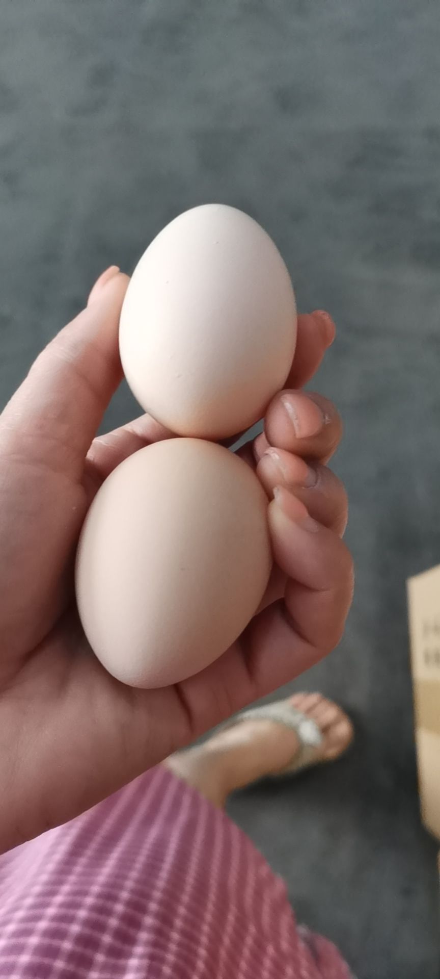 初生蛋  小粉蛋开窝蛋25一30斤