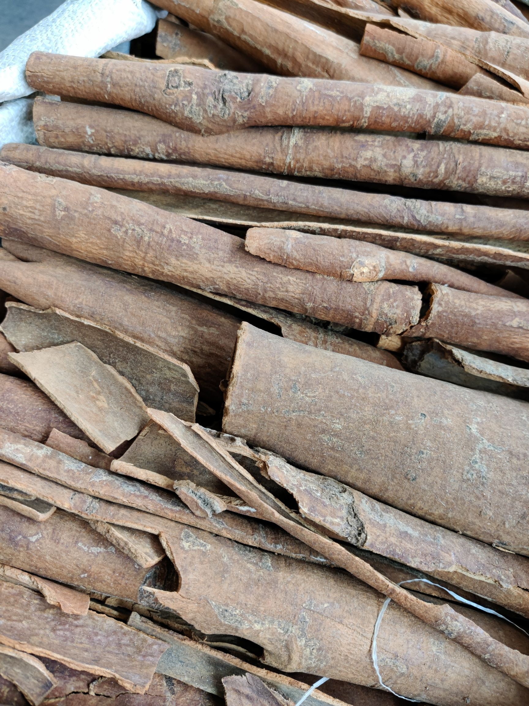 普通桂皮  肉桂皮广西1公斤起批无硫