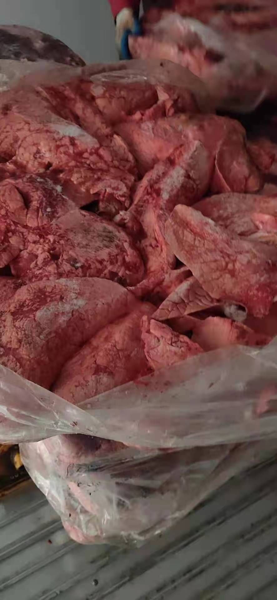  饲料猪肺  货源稳定价格美丽