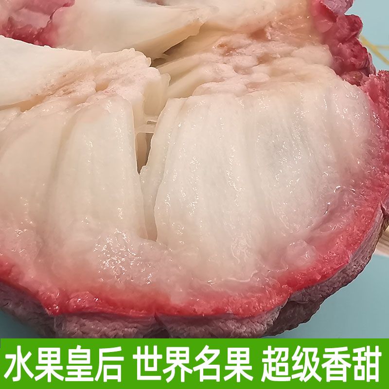 释迦果 【果中贵族】玫瑰释迦水果新鲜牛奶果佛头果番荔枝