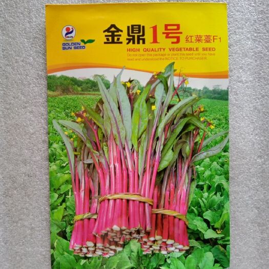 金阳红金鼎1号红菜苔种子耐热性强净含量10克/包: