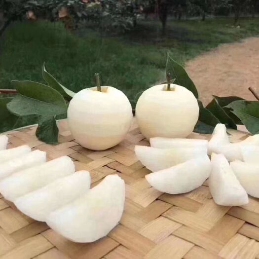 连州市 水晶梨