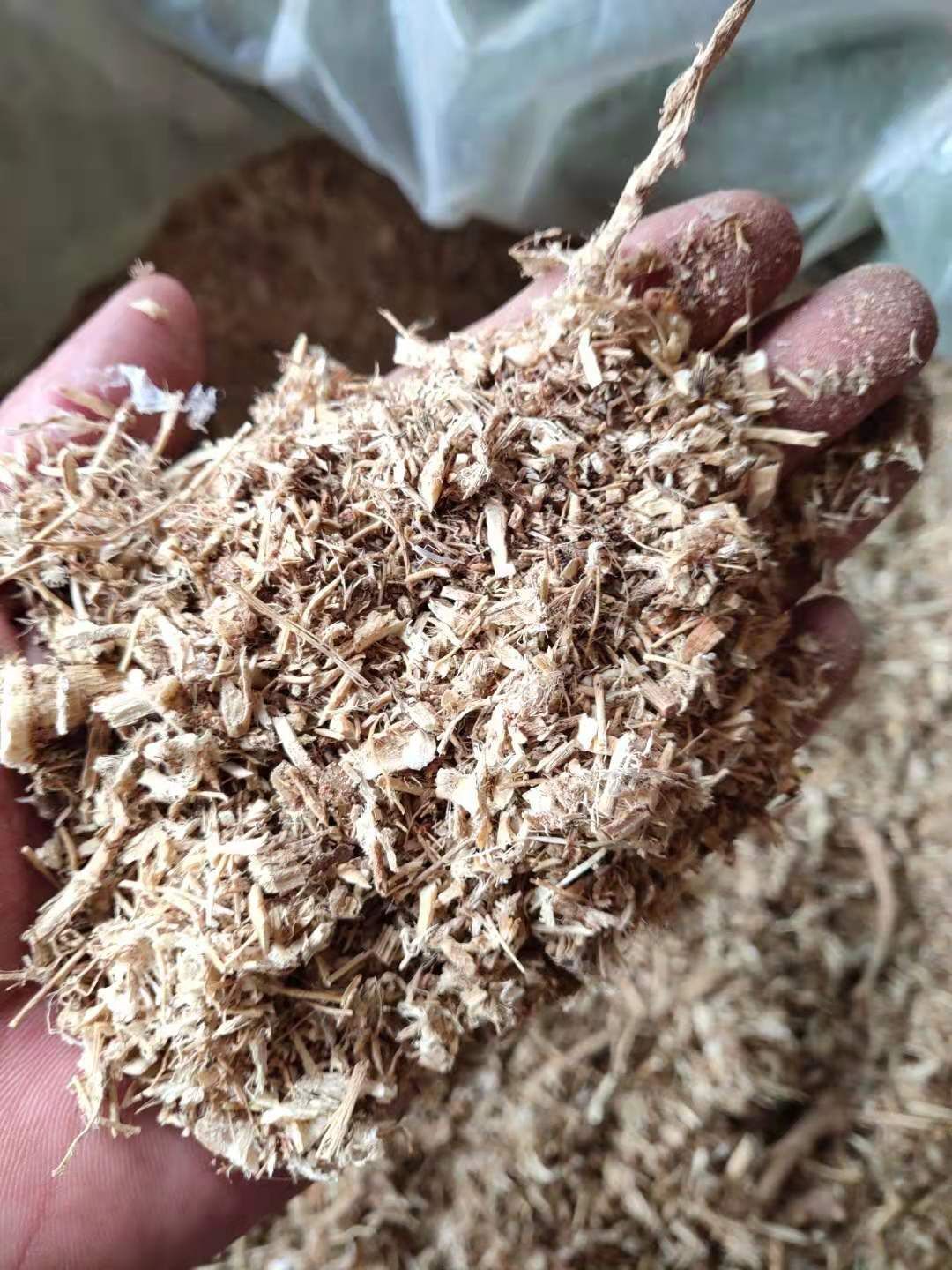 蒙芪  黄芪沫子，饲料厂，药厂的必选，货不多需要的抓紧了