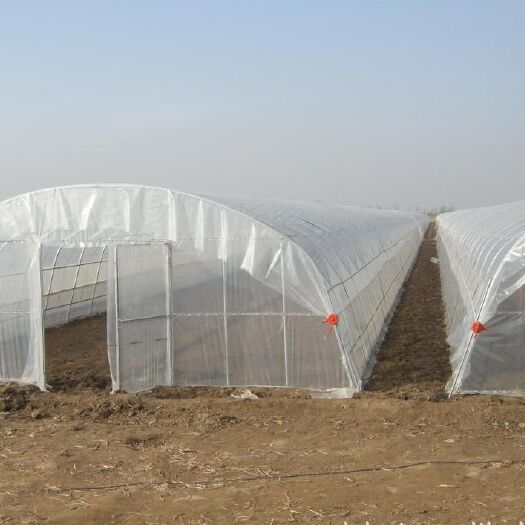 寿光市厂家直销大棚骨架 温室大棚建设蔬菜大棚 ，种植大棚，花卉大棚