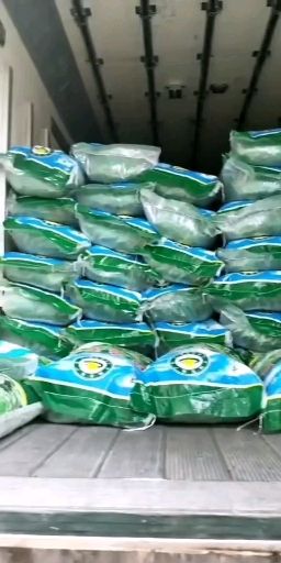  精品毛豆大量供应