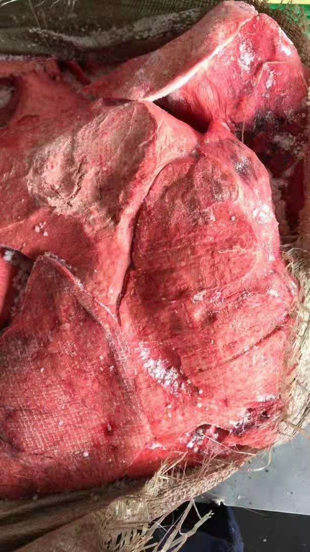  饲料猪肺  货源稳定价格美丽