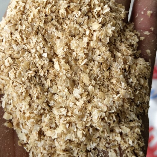 聊城麦麸  金沙河五得利益海中粮麸皮