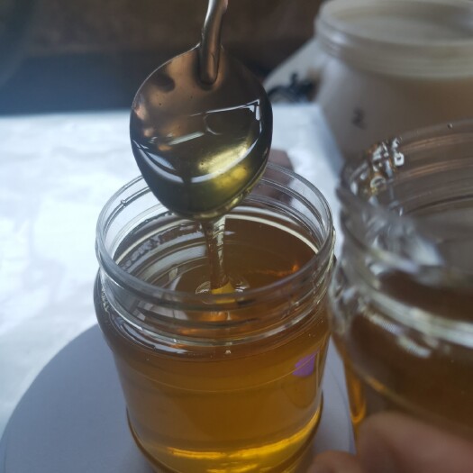 绛县深山野林，天然槐花蜜！枣花蜜！百花蜜！假一赔十