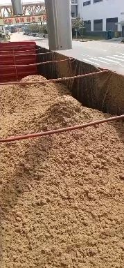 广东啤酒糟幼糟大量供应，营养好成本低，养殖好饲料！