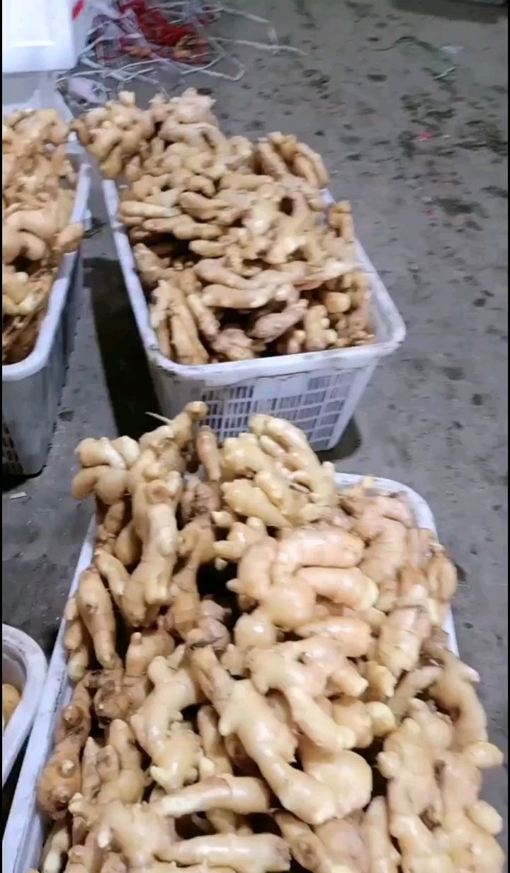 大黄姜  优质生姜产地批发 一手货源  保证质量  电商货