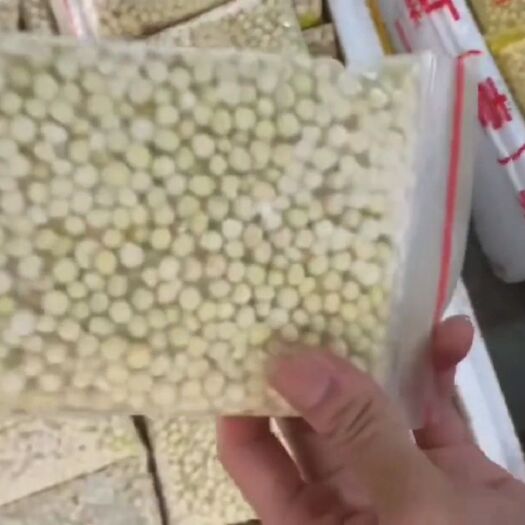 潮州鲜芡实 海滨芡实大量批发零售