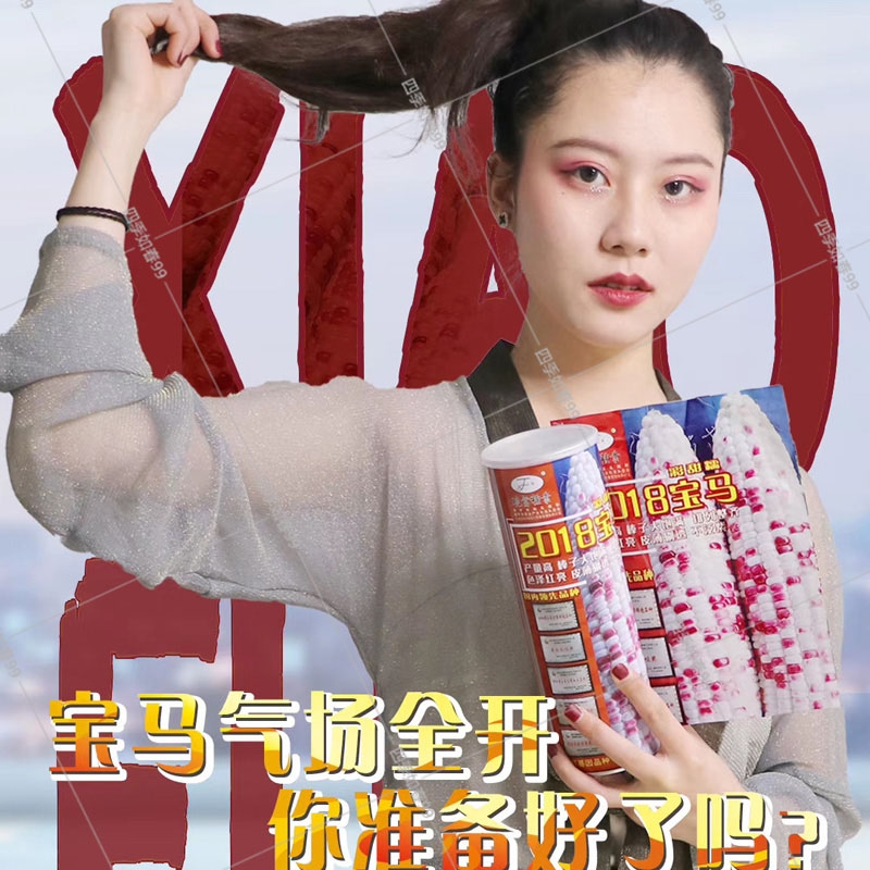 宝马937、钱多多9号彩甜糯玉米种子，产量高口感好，品质好