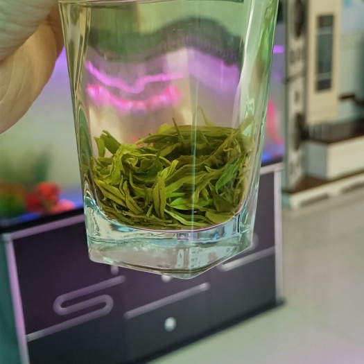 五峰县毛尖茶  五峰高山云雾毛尖，绿茶，芽茶，炒青，厂家直销，手工茶