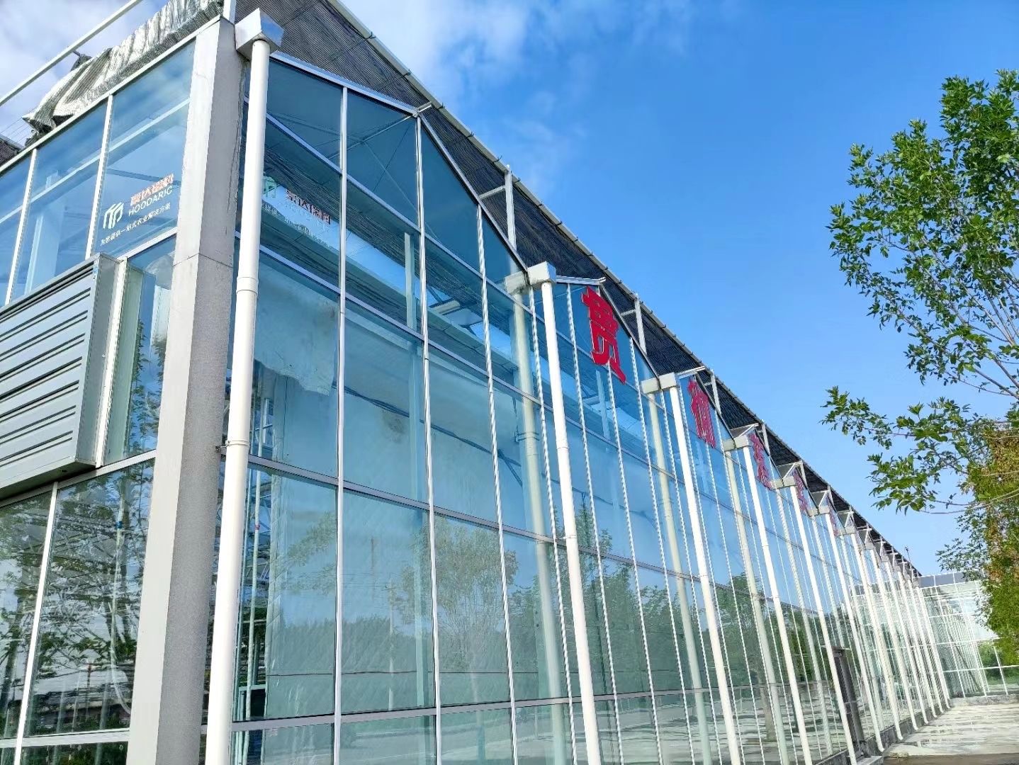 温室阳光板 玻璃温室